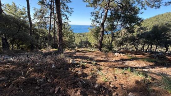 2b Field Of 5715m2 For Sale With Full Sea View In Çandır