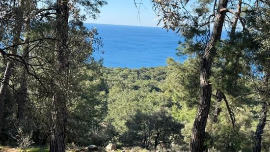 2b Field Of 5715m2 For Sale With Full Sea View In Çandır