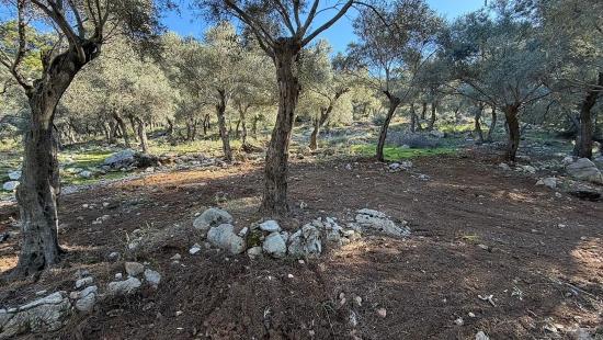 2b Field Of 5715m2 For Sale With Full Sea View In Çandır