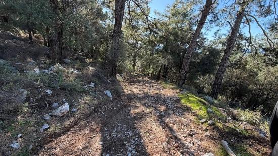 2b Field Of 5715m2 For Sale With Full Sea View In Çandır