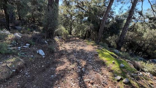 2b Field Of 5715m2 For Sale With Full Sea View In Çandır