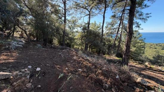 2b Field Of 5715m2 For Sale With Full Sea View In Çandır