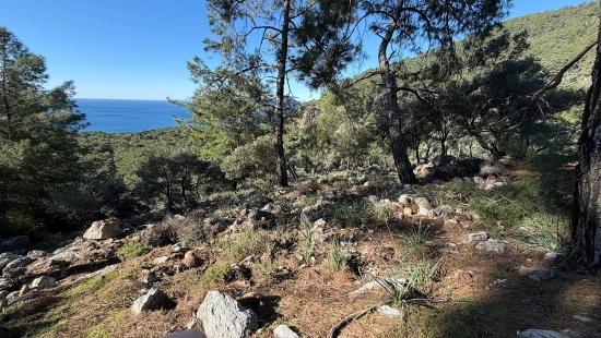 2b Field Of 5715m2 For Sale With Full Sea View In Çandır