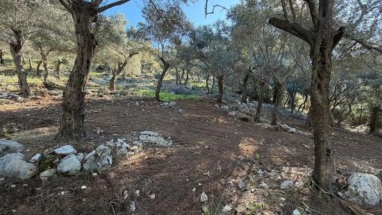 2b Field Of 5715m2 For Sale With Full Sea View In Çandır