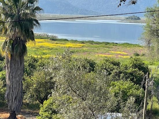 1252m2 Land For Sale With Lake View In Çandır