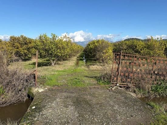 23,000 M² Detached Land For Sale In Tepearası.
