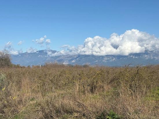 23,000 M² Detached Land For Sale In Tepearası.