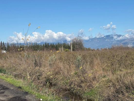 23,000 M² Detached Land For Sale In Tepearası.
