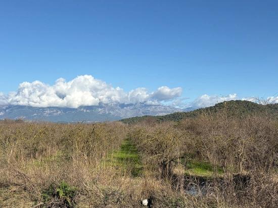23,000 M² Detached Land For Sale In Tepearası.