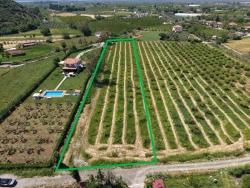 5100M2 Plot Of Land For Sale Near Dalyan Town Center.