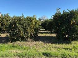 Land For Sale In Ekşiliyurt, With Zoning Permit, Within A 1085M2 Built-Up Area.