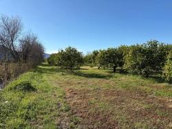 Field For Sale in Dalyan Nbh. Ortaca - Field Zoned - 16.500 m²
