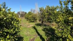 Land For Sale in Okçular Nbh. Ortaca - Housing Zoned - 2.218 m²