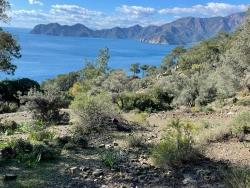 Field For Sale in Çandır Nbh. Köyceğiz - Field Zoned - 20.000 m²