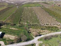 Field For Sale in Eskiköy Nbh. Ortaca - Field Zoned - 16.710 m²