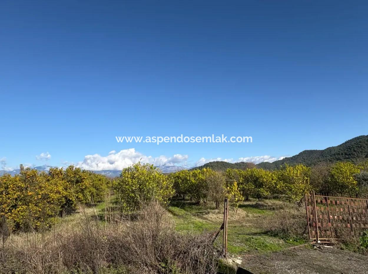 23,000M2 Detached Field Garden For Sale In Tepearasin,