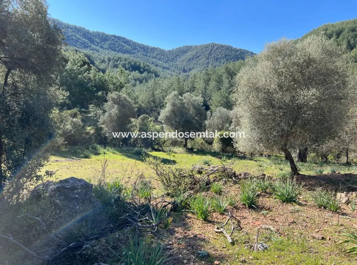 Land For Sale In Nature And Forest In Gökbel