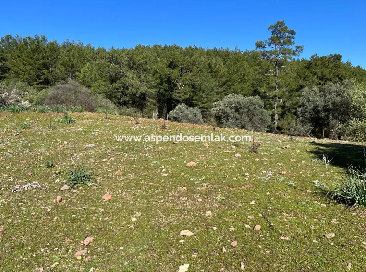 Land For Sale In Nature And Forest In Gökbel