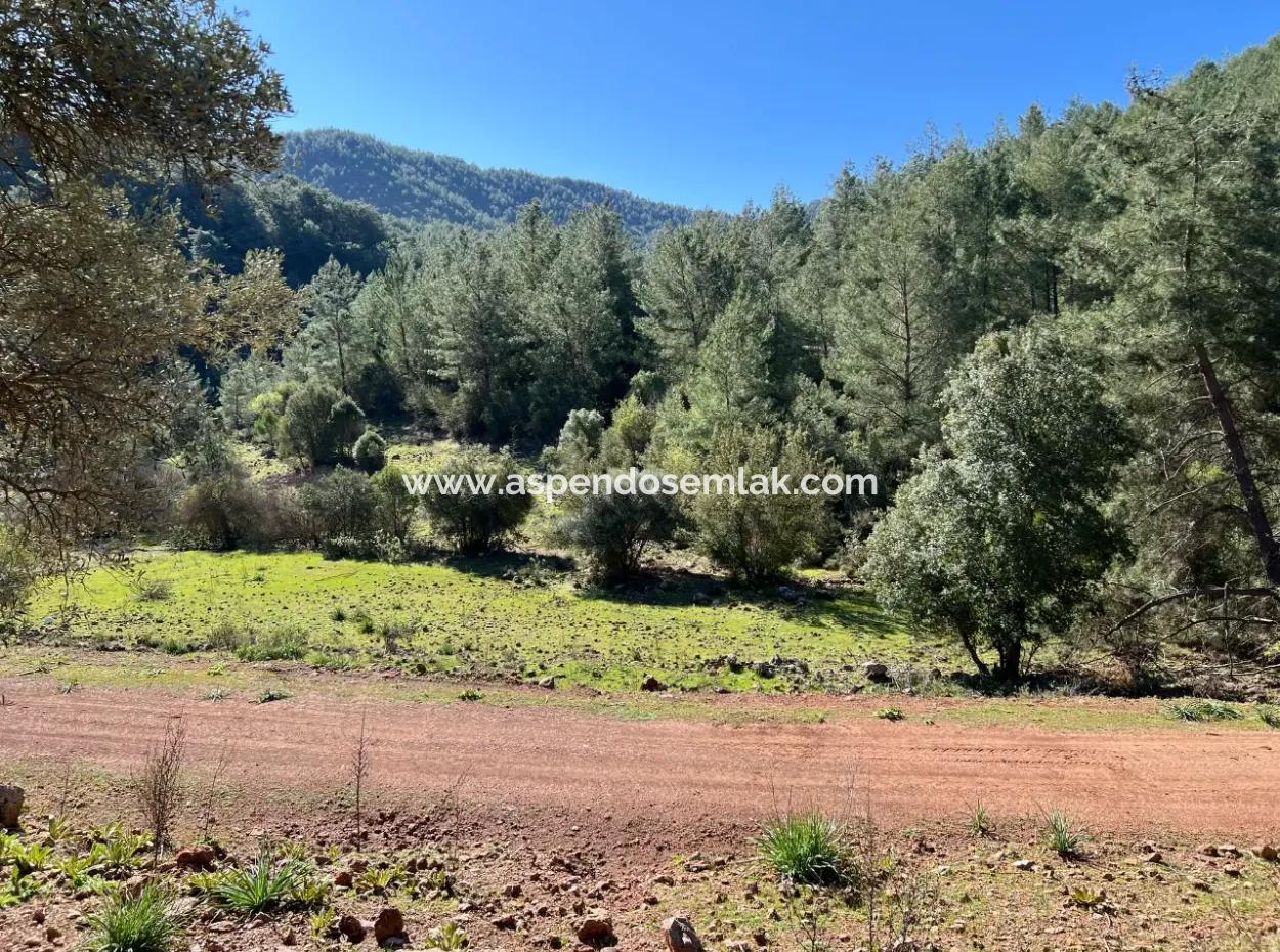 Land For Sale In Nature And Forest In Gökbel