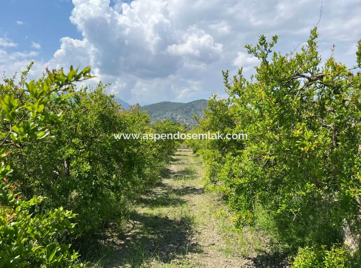 5,100M2 Land For Sale In Dalyan Maraş Area With 5% Residential Zoning