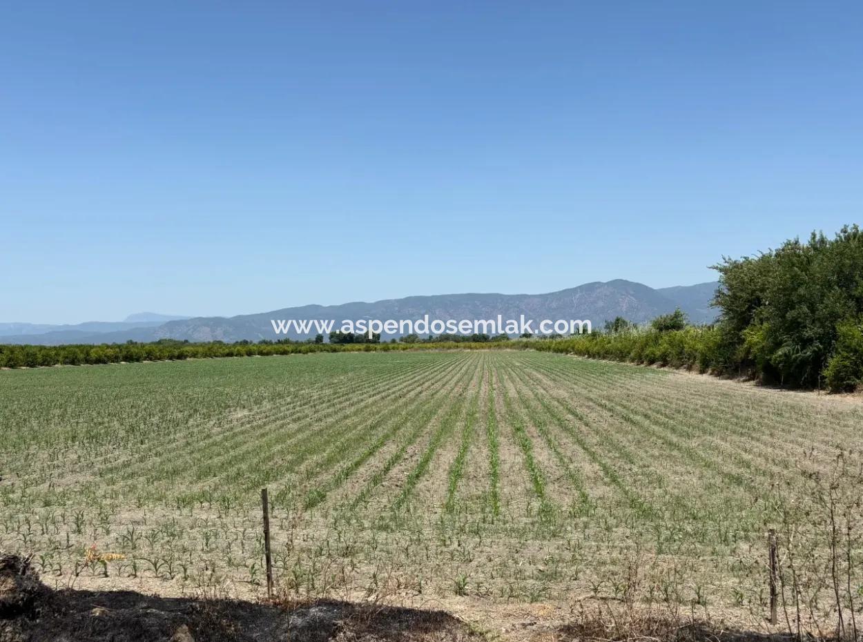 46,550M2 Land For Sale In Tepearası