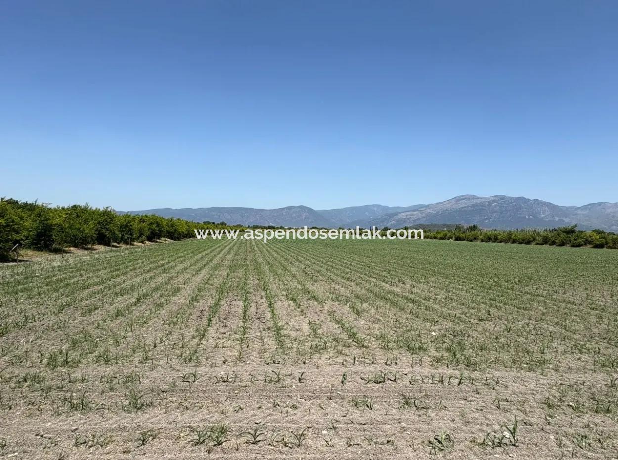 46,550M2 Land For Sale In Tepearası