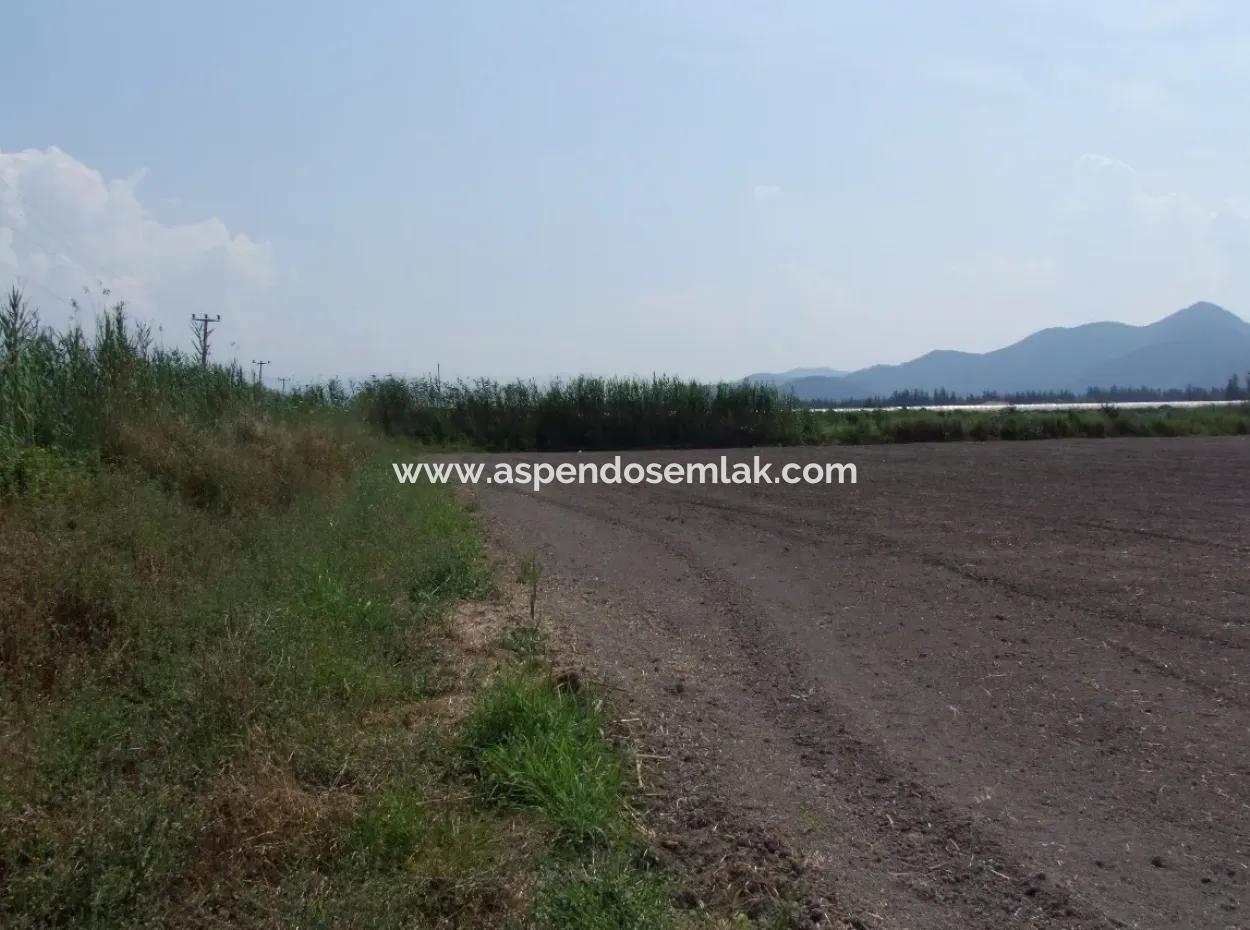 Farm For Sale In Dalyan Eskikoy Eskikoy Oriya 14,900M2 Plot For Sale Field