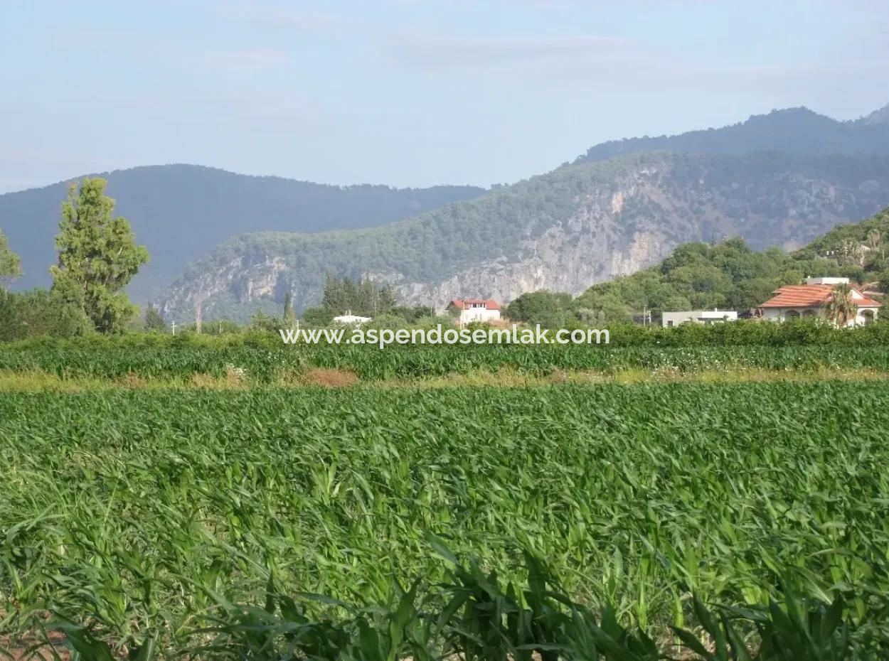 Farm For Sale Near The Centre Of Dalyan,14, 612M2 Farm For Sale