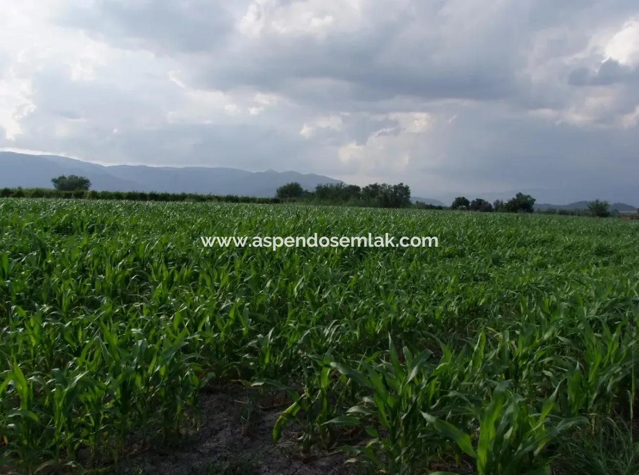 Farm For Sale Near The Centre Of Dalyan,14, 612M2 Farm For Sale