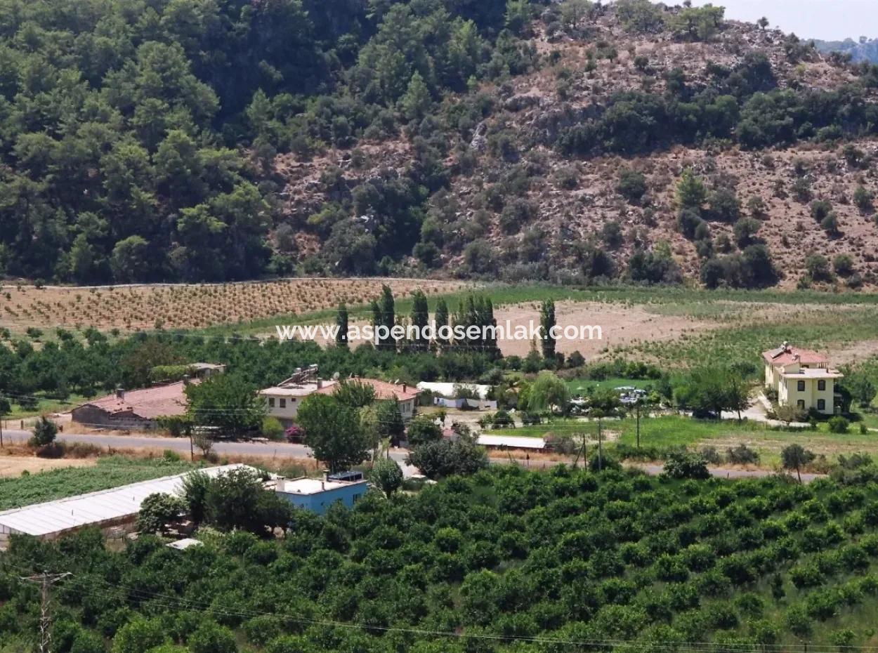 Merkez Dalyan Lake Iztuzu For Sale In Gokbel Zero Path 7484M2