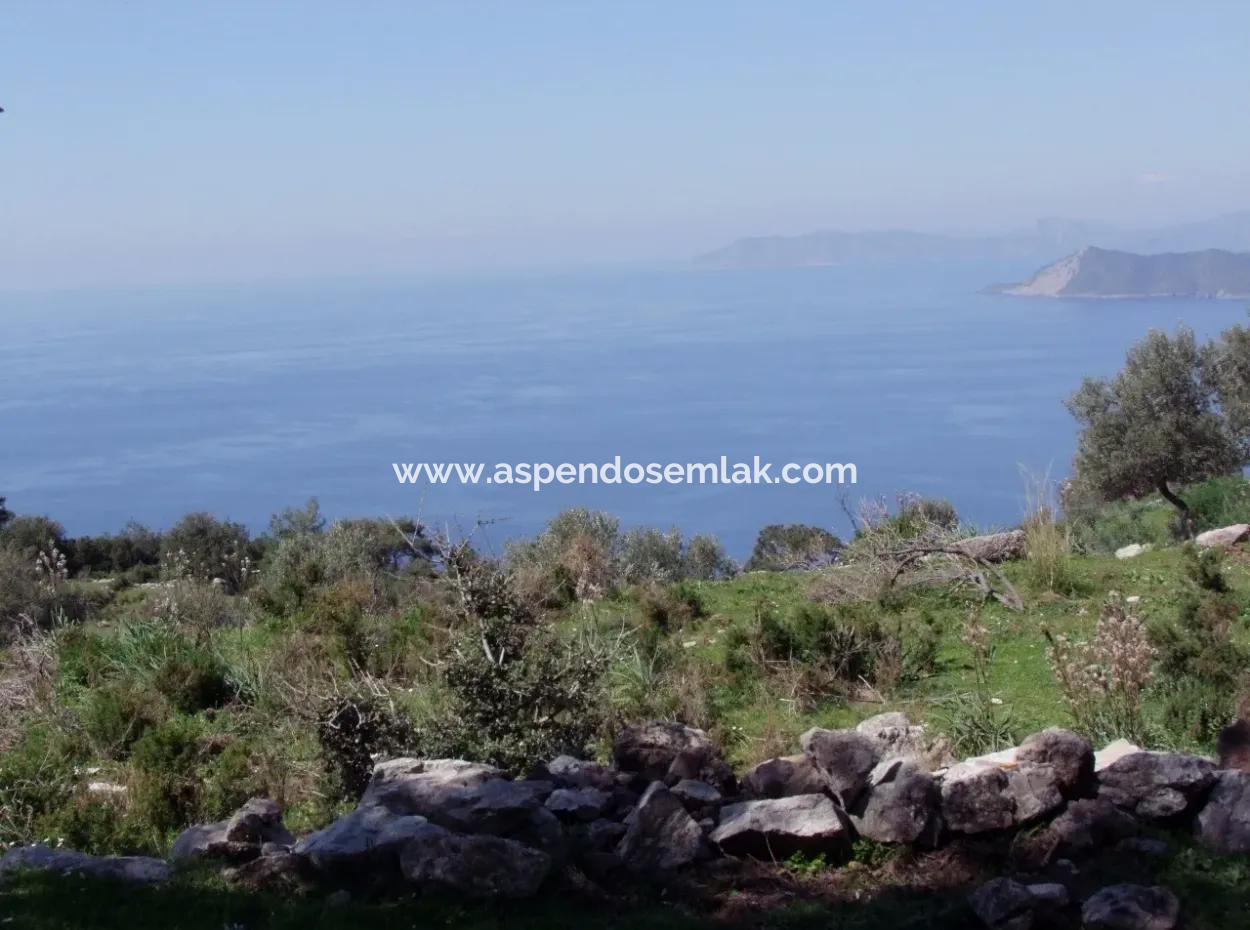 For Sale In Faralya Faralya With Sea View And 11,286M2 Land For Sale Tourism