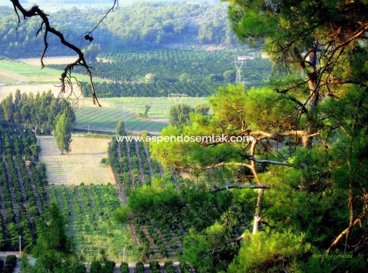 Gökçe Gökçe 21671M2 Farm For Sale For Sale