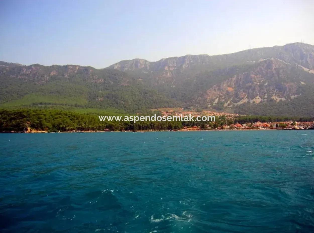 Gökçe Gökçe 21671M2 Farm For Sale For Sale