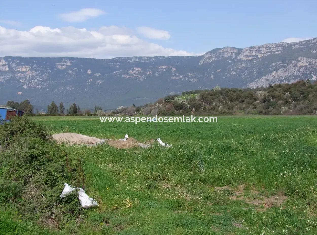 In Akyaka For Sale: Land For Sale Farm For Sale A Farm Near The Sea Of Ars, Yatirimlik 21625M2