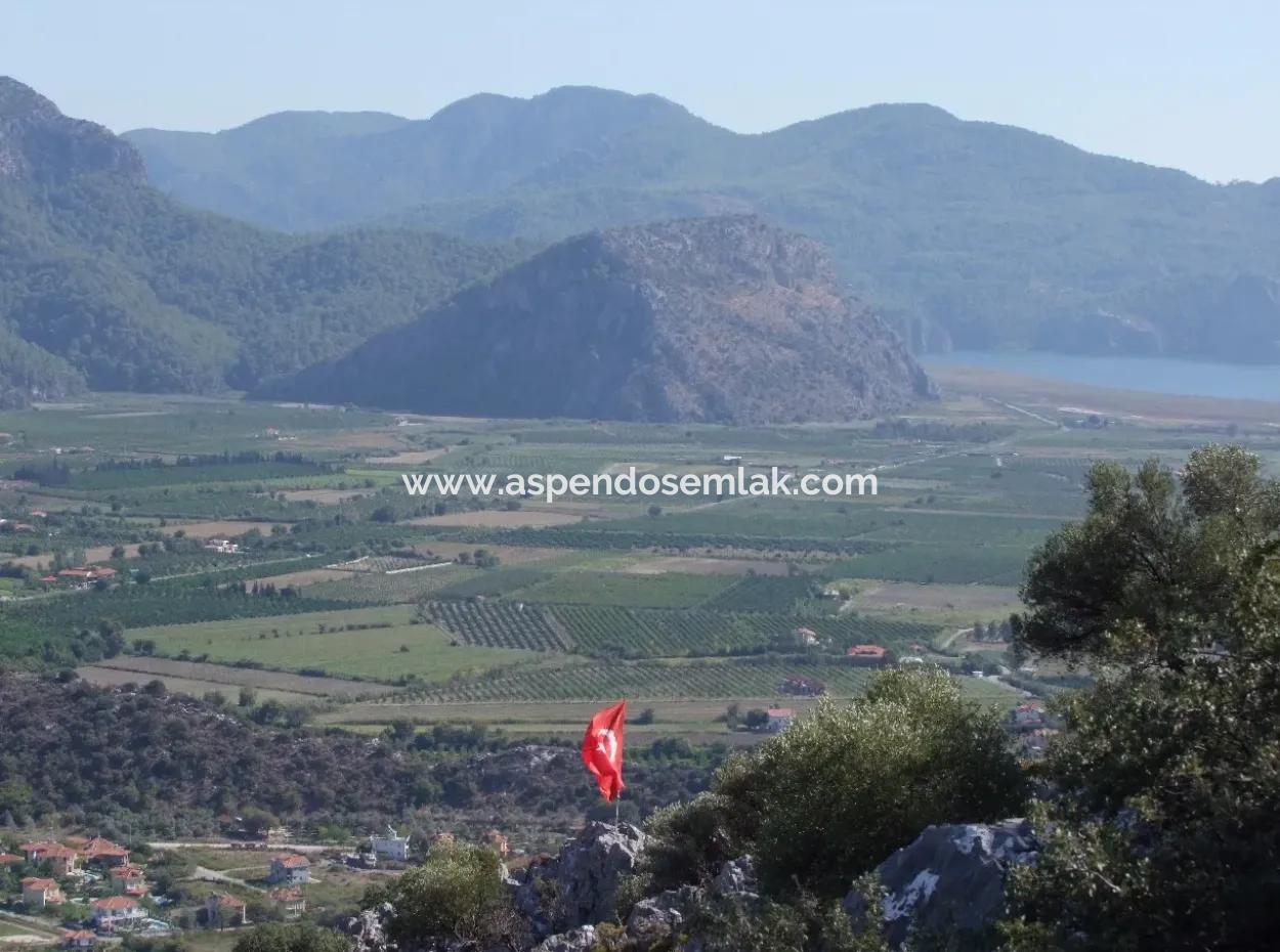 Maras In Dalyan For Sale Dalyan 7300M2 %5 Land Plot For Sale