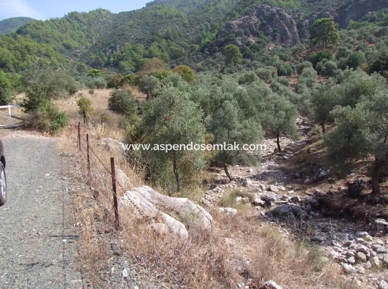 For Sale In Ekincik 5,391M2 Plot For Sale