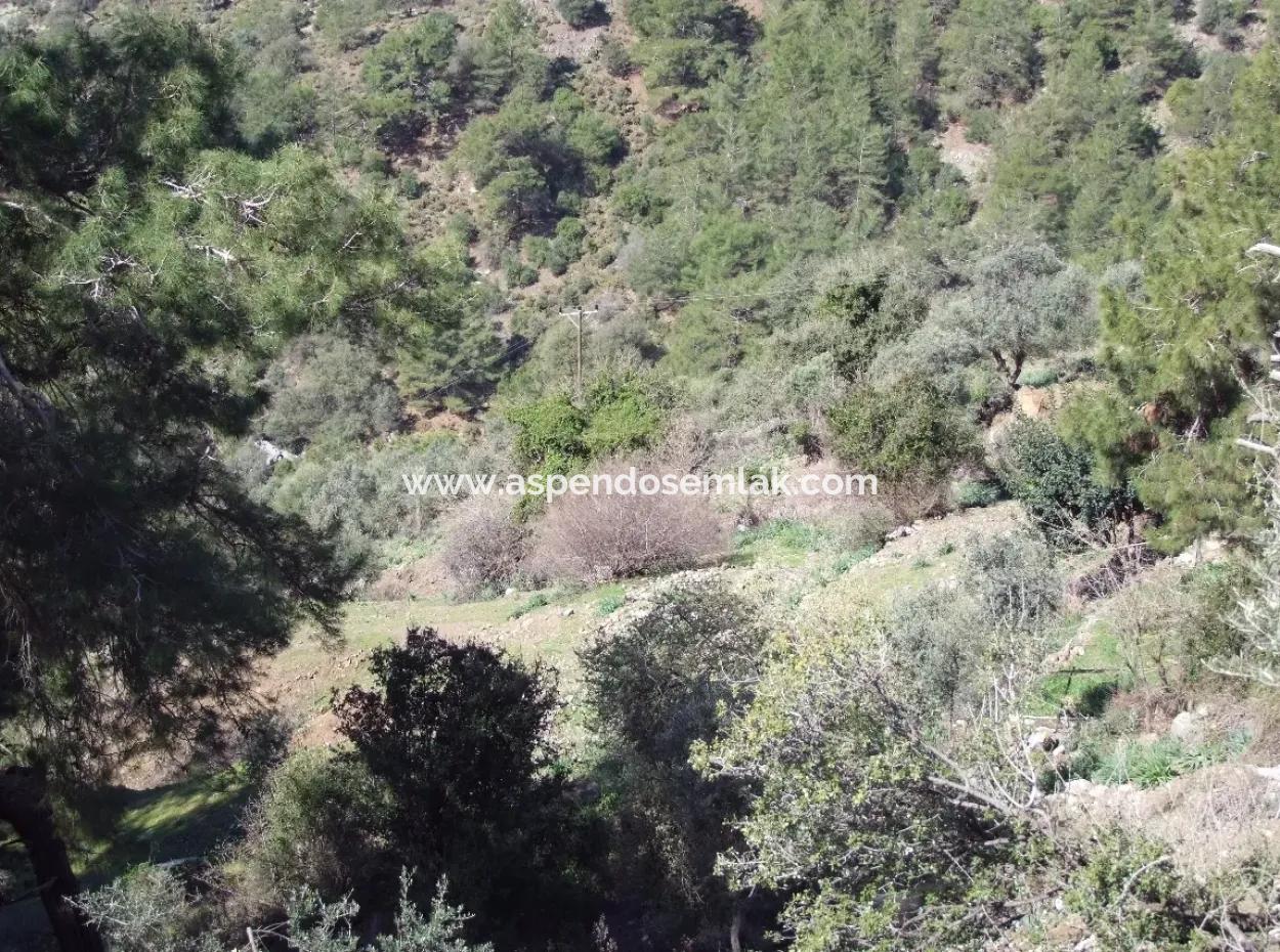 Land  For Sale With Sea View For Sale In Gokbel