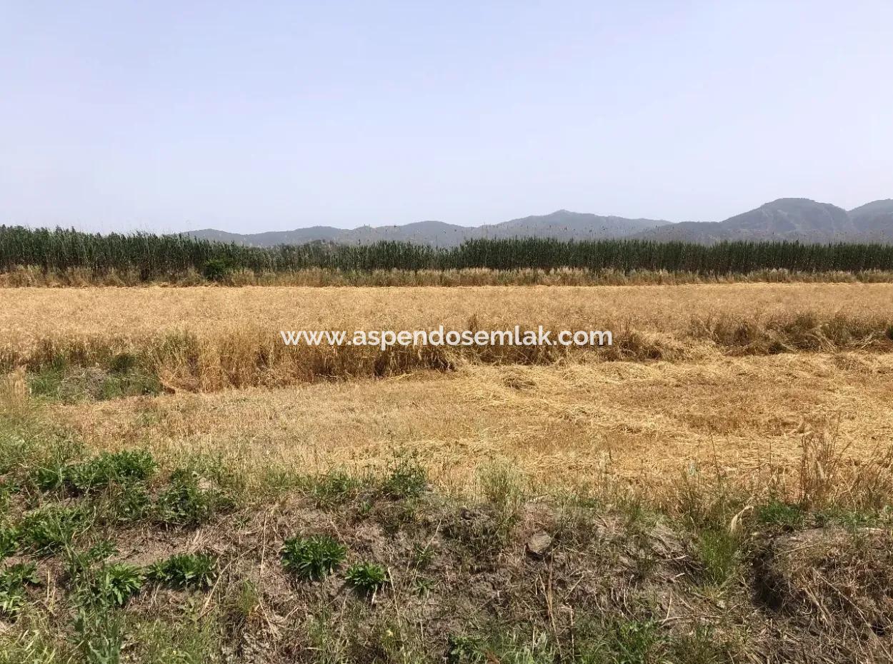 Farm Land For Sale 39 Acres In Eskikoy