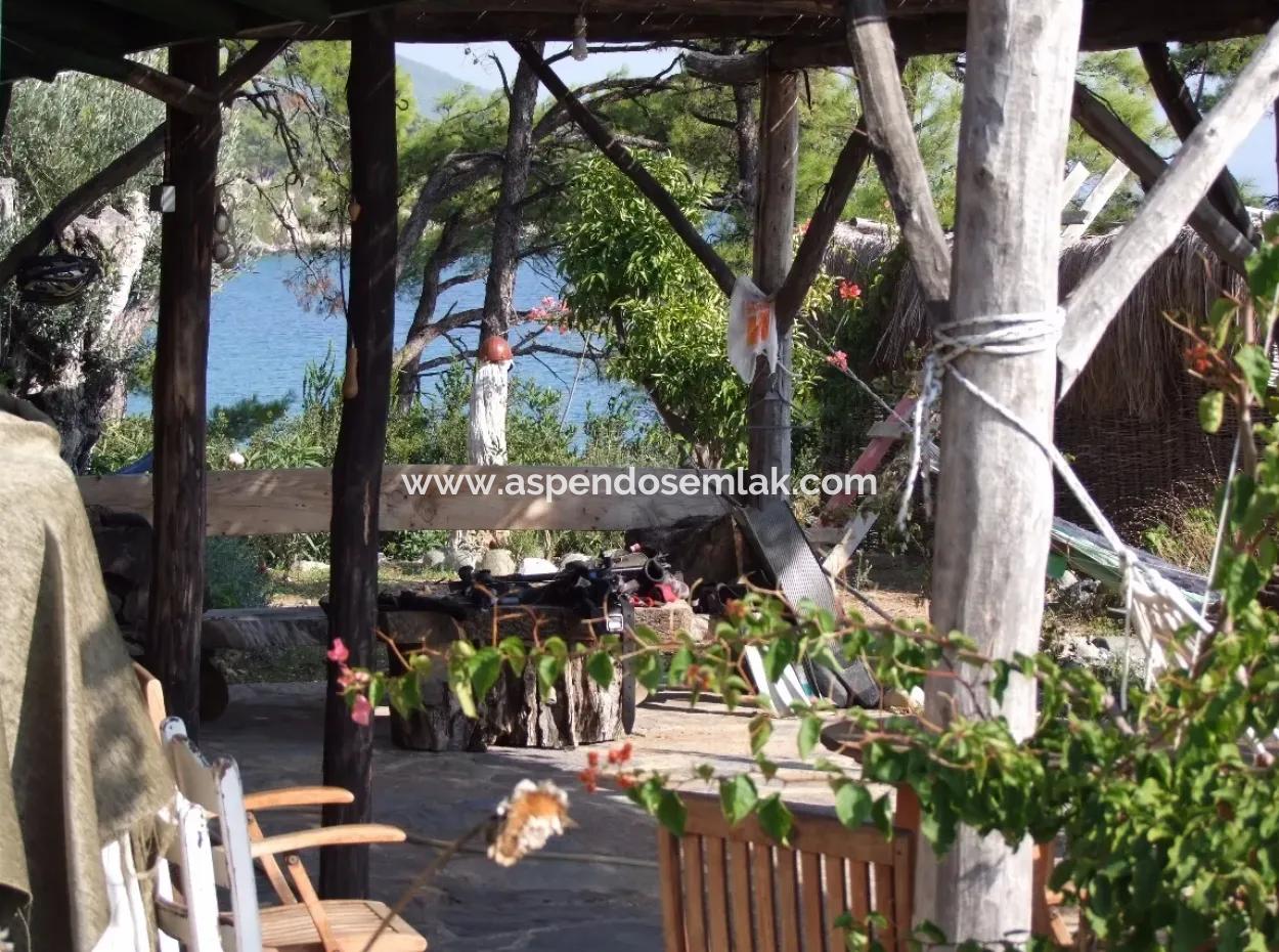 Beachfront Bungalow For Sale In Akbuk By The Sea In A Plot Of 800M2 Villa For Sale Turnalı