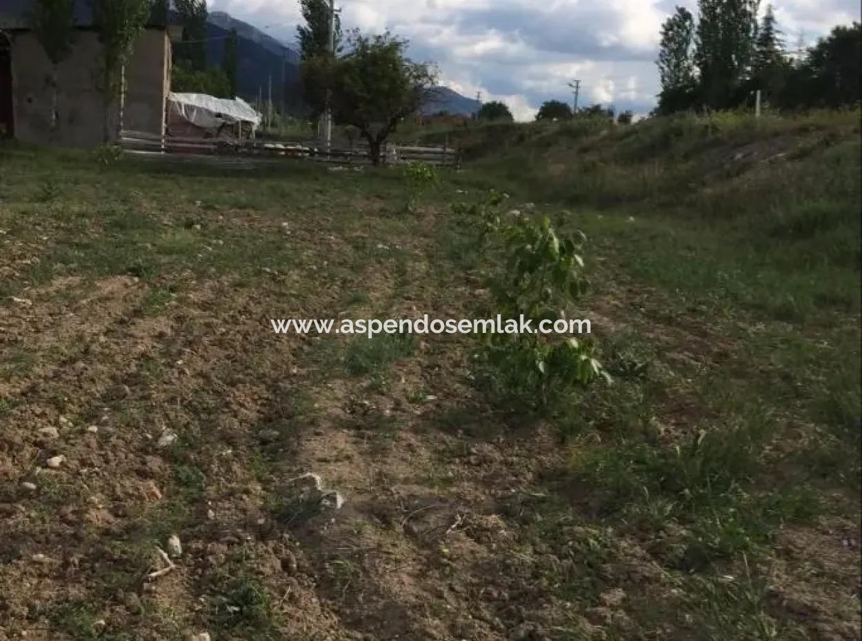 For Sale In St John's, Stabby Plot For Sale Zero In On The Path 1562M2