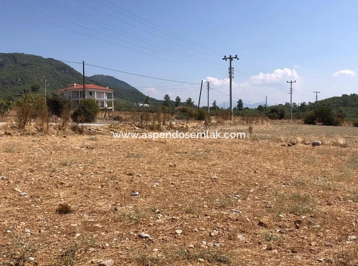 11.227M2 Land For Sale With Lake Views In Köyceğiz Zeytinalanı