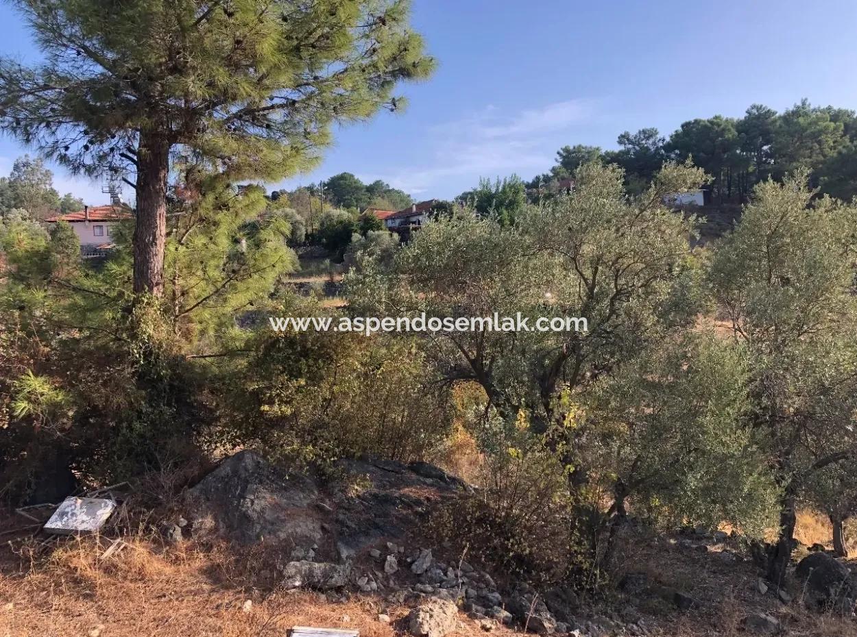 Gökbel Land For Sale 1000M2 Land For Sale With Sea Views
