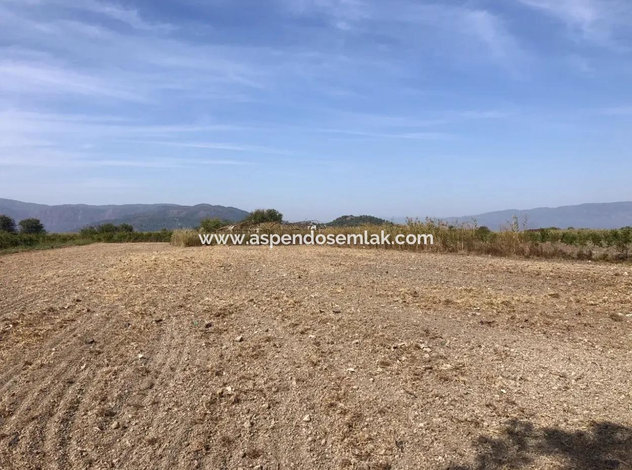 Land For Sale In Esköy 8500M2 Field Land For Sale