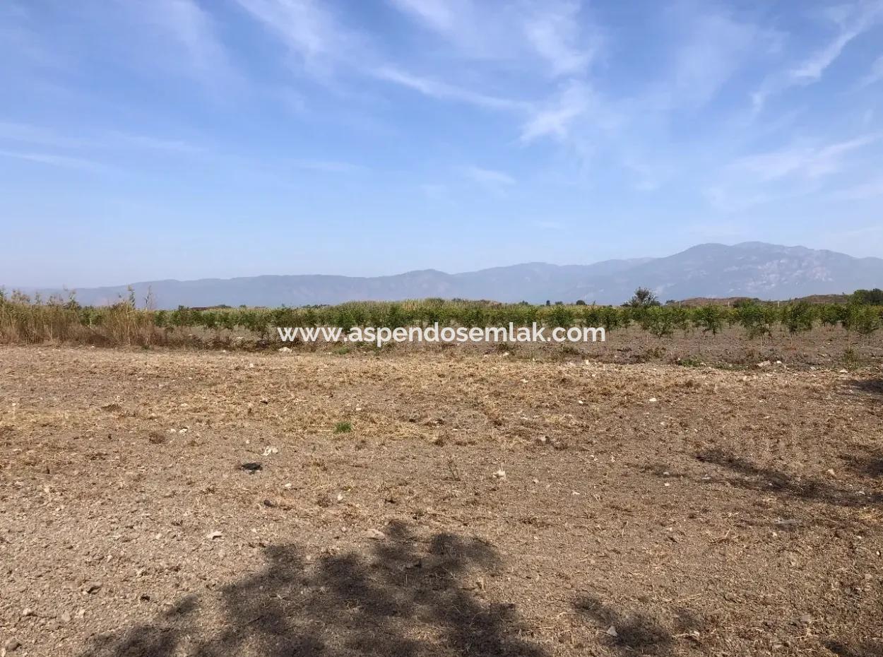 Land For Sale In Esköy 8500M2 Field Land For Sale