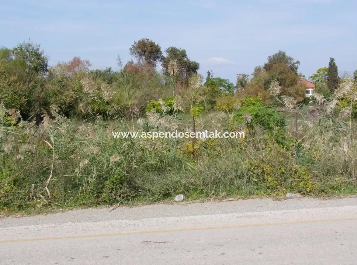 Land For Sale In Guzelyurt Land For Sale Zero 5515M2 Land For Sale On The Main Road
