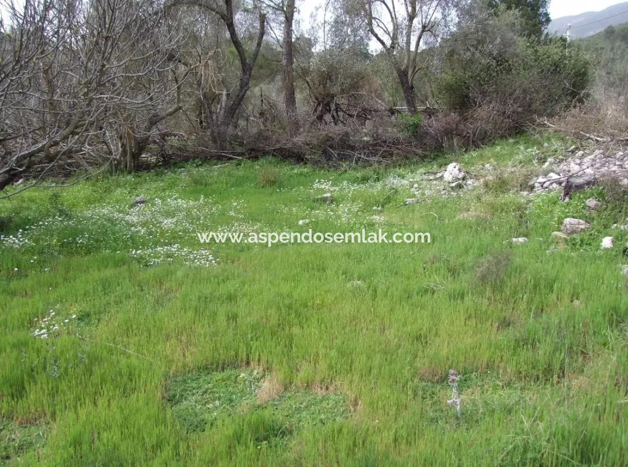 In Incirkoy Uzumlu Fethiye Plot For Sale Farm For Sale In Incirkoy