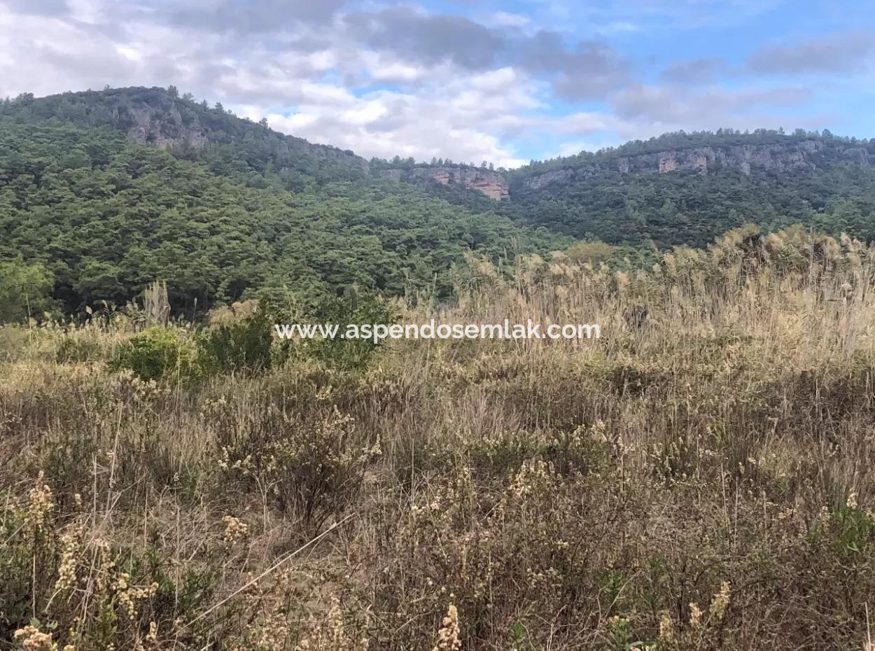 Land  For Sale Zero To Çamlı Canal 28768M2 Land For Sale With Sea View In Camlida