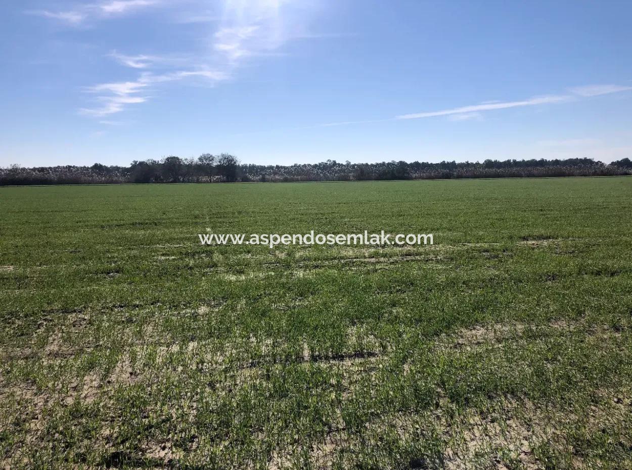 Land For Sale In Sarıgermede 30,000M2 Land For Sale With Sea View