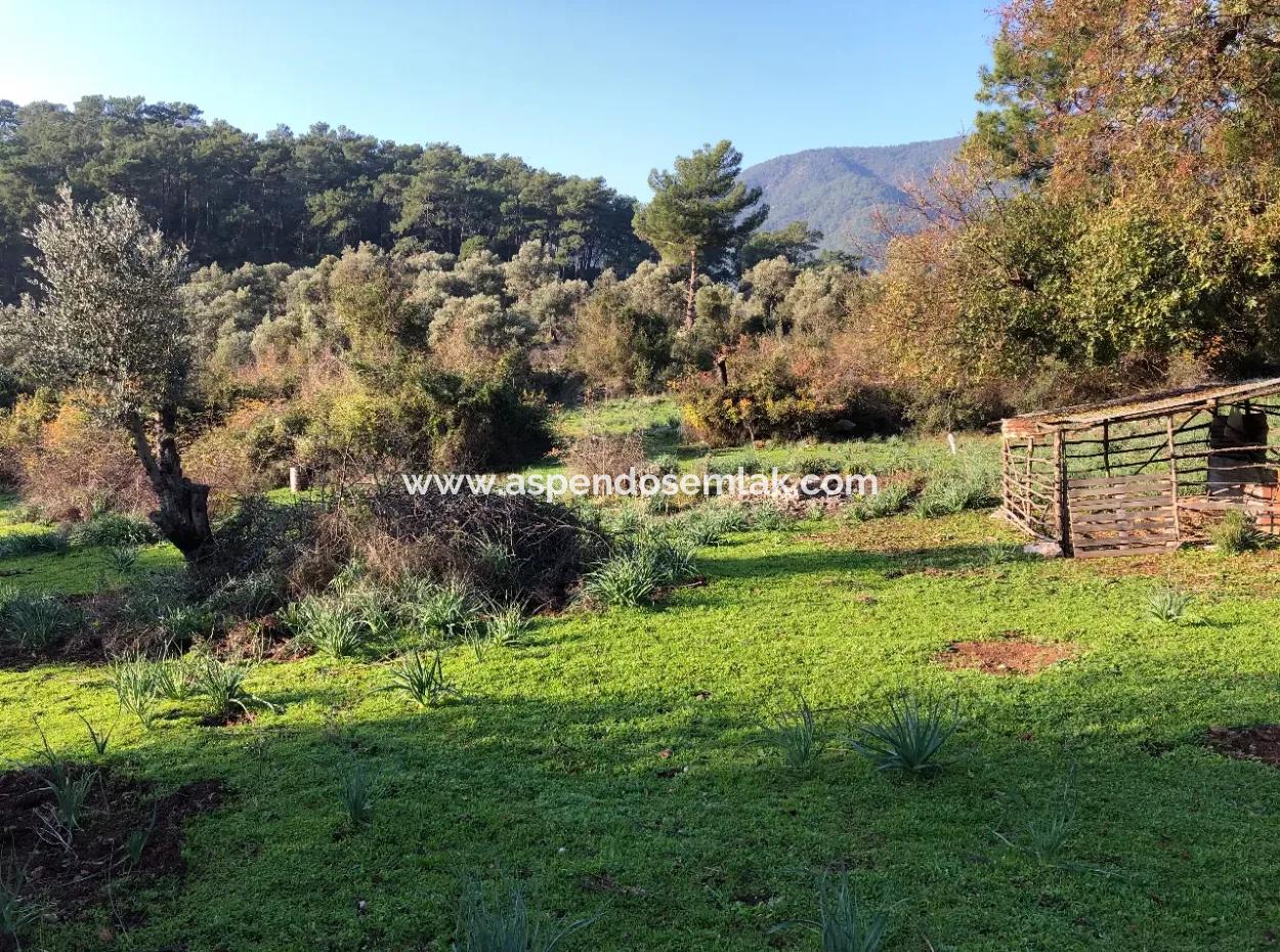 Ekincik Land For Sale 10,038M2 Land For Sale Field