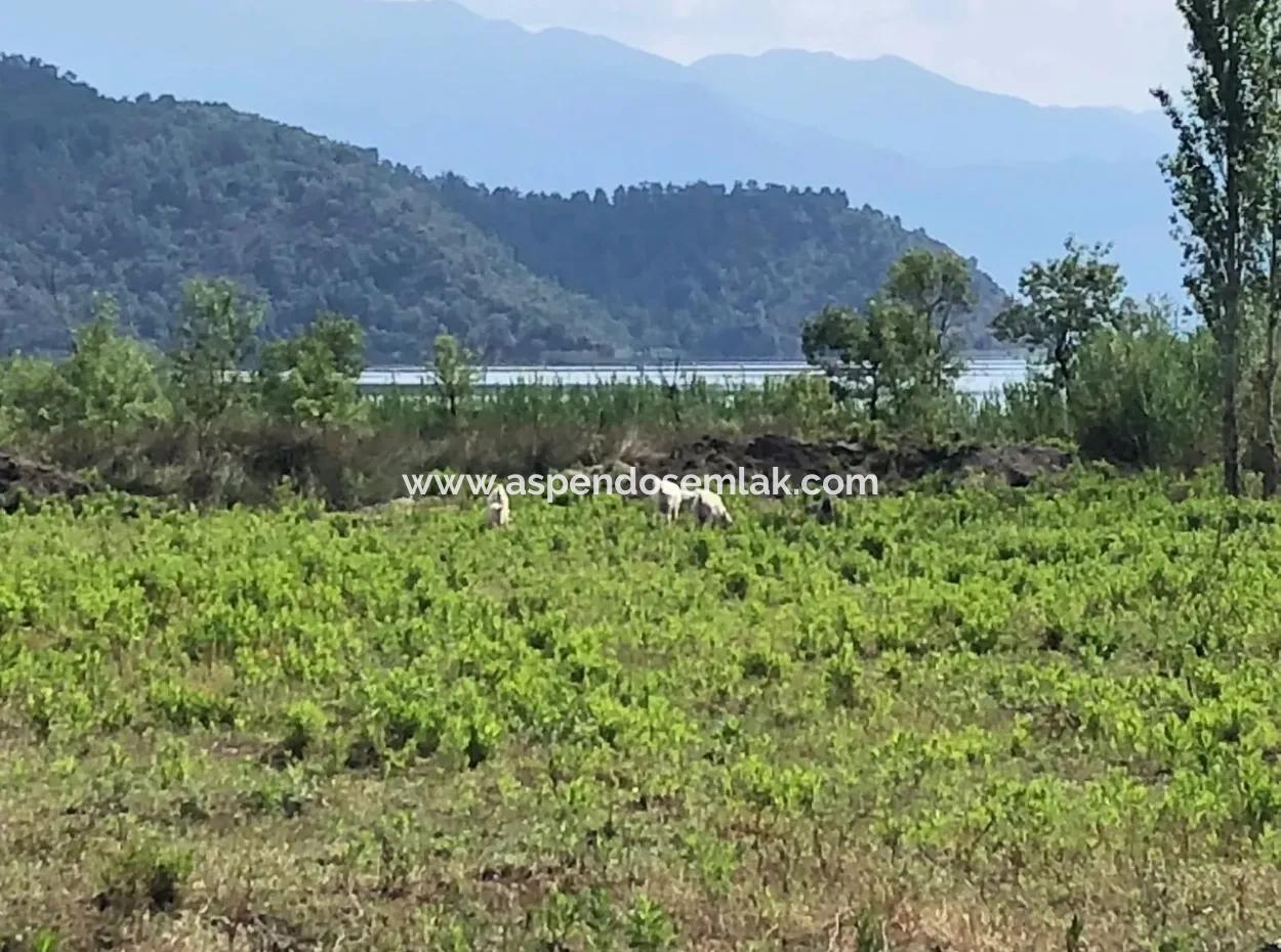Sultaniye Sultaniye Koycegiz Lake Plot For Sale For Sale In By The Sea